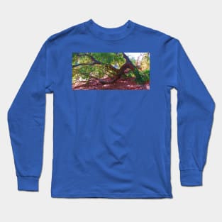 Taking a Bough Long Sleeve T-Shirt